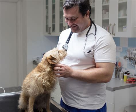 etické použití a spolupráce s veterinářem