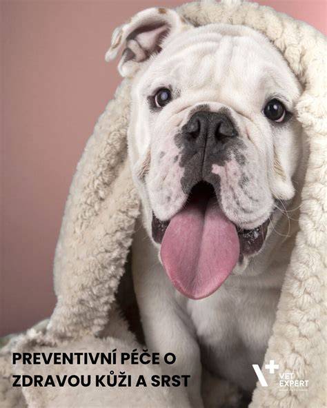 prevence a péče o srst a kůži psa
