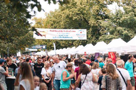 Festival vína a doprovodná zóna v parku