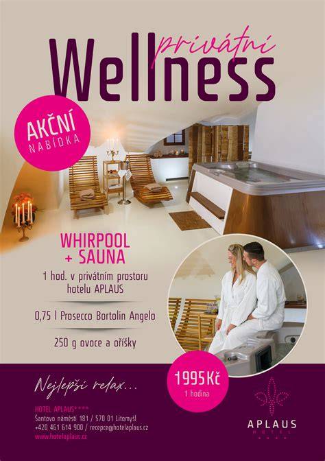infografika - nabídka masáží a wellness služeb