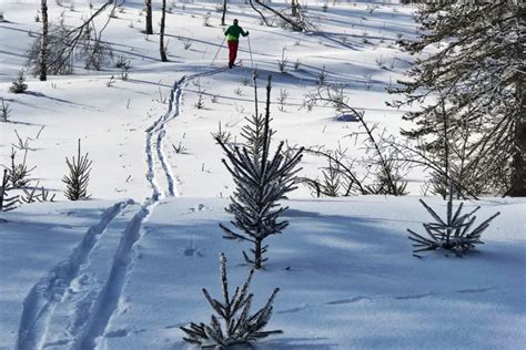 ukázka výbavy pro backcountry lyžování
