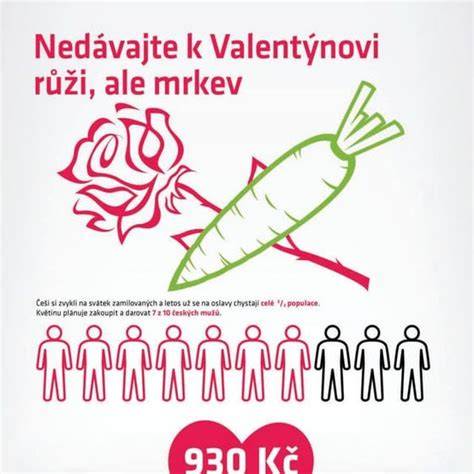 Infografika: charakteristiky pudorysu růží