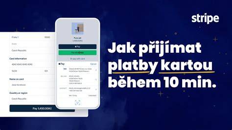 infografika prijimani plateb kartou