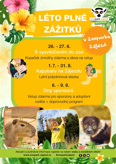 kapybary a jejich krmení v Zooparku Zájezd