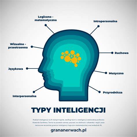 infografika: typy letů a délky tras