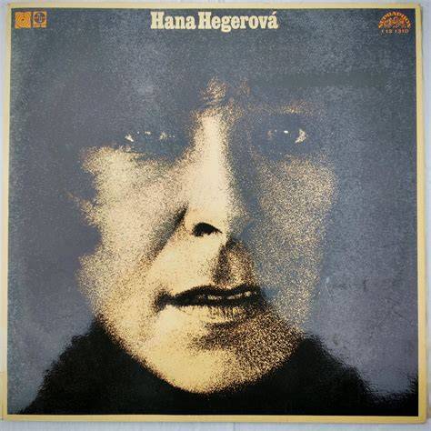 Hana Hegerová na koncertě s šansoni