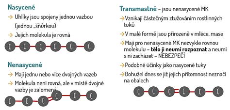 význam jednotlivých složek