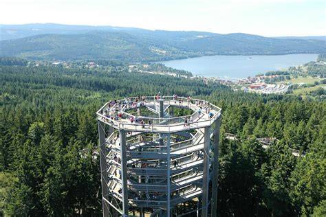 Stezka korunami stromů Lipno - 675 m lávka a 40 m věž