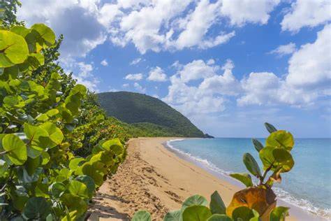 přírodní krása beach Grande Anse