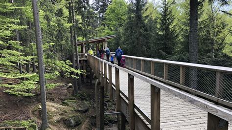 lávekka a Vlčí stezka nedaleko Srní
