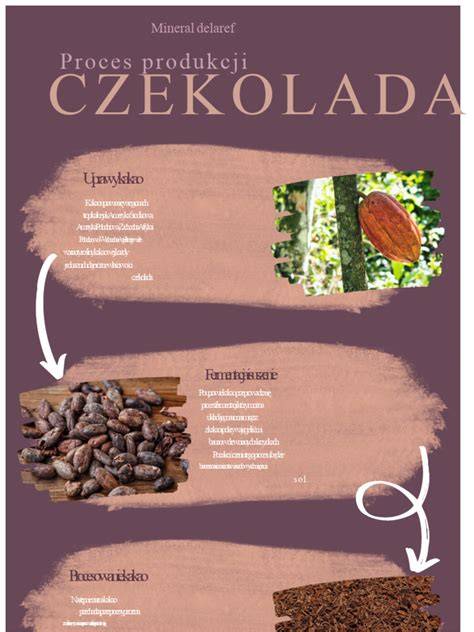 Infografika: proces rezervace Emirates online