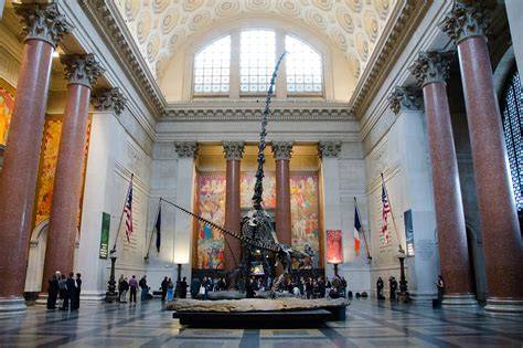 American Museum of Natural History