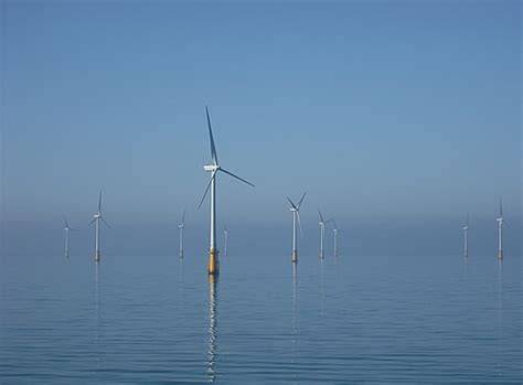 ekologické dopady offshore větrné energetiky