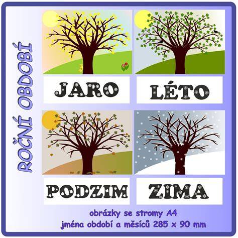roční období a výsadba vzrostlých stromů