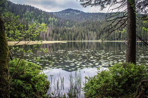 turistické trasy a vyhlídky na Šumavě