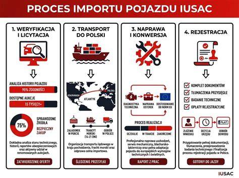 infografika_proces_vizu_USA (vizový proces)