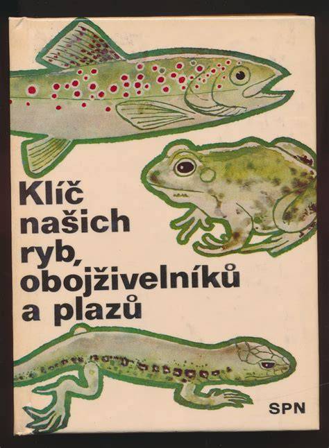 fotografie druhů obojživelníků a plazů v CR