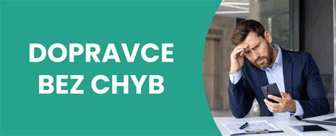 obr 5: proces výběru dopravce