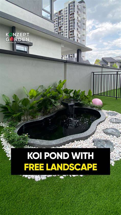 img-koikapr-pond-setup