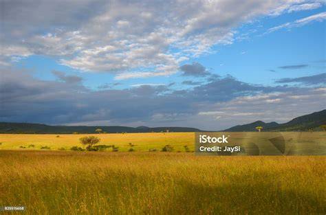 africká savana a národní parky Tanzanie