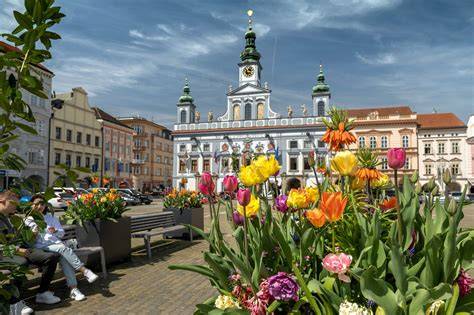 Prohlídka města zdarma - forma služby na letišti